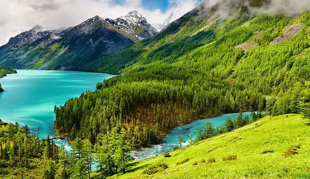 Het boek van de natuur