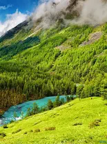 Het boek van de natuur